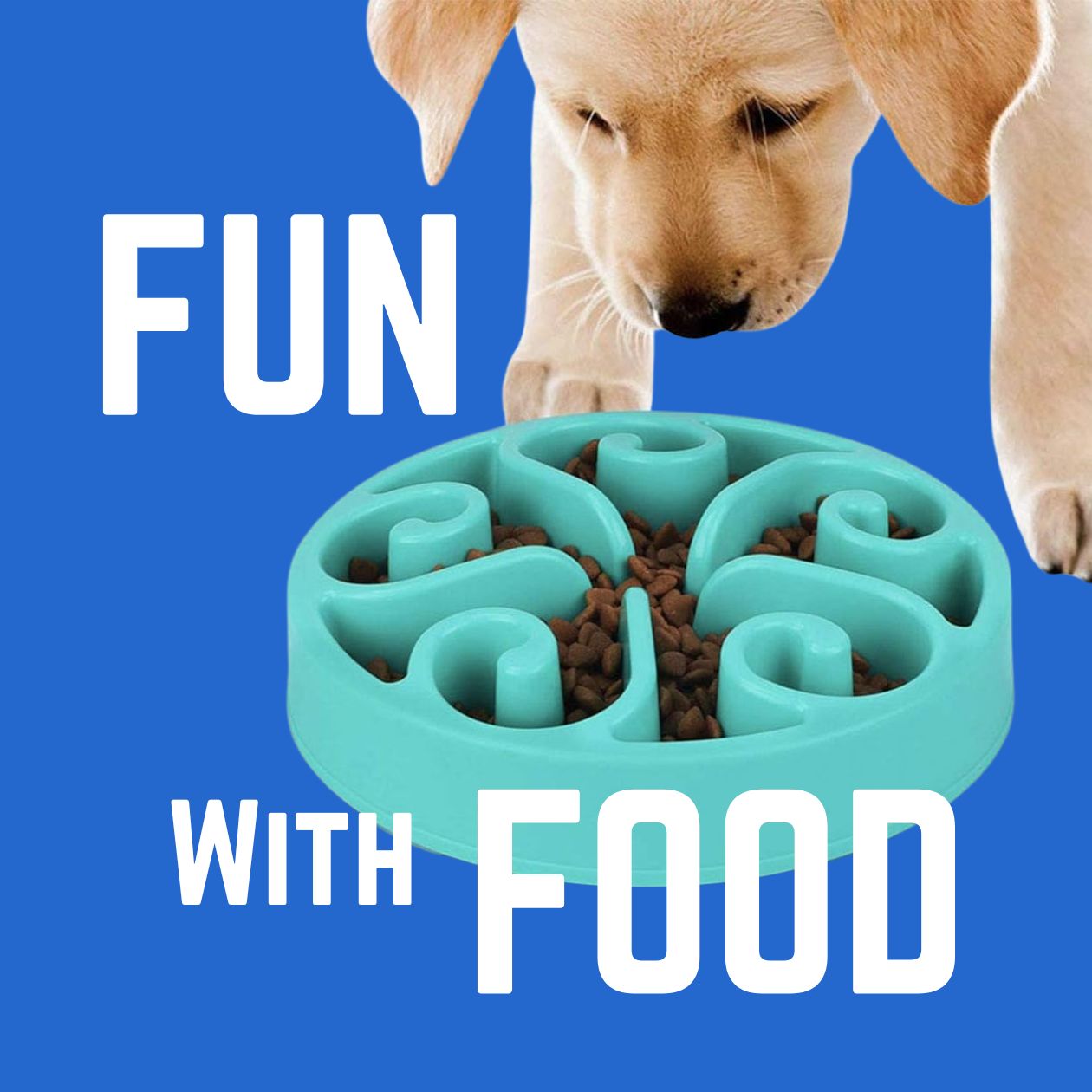 Fun with Food – Content Pet Food