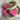 Content 6" Natural Rawhide Rings