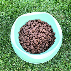 Content Adult Rabbit Turkey with Sweet Potato and Blackcurrant Dog Food