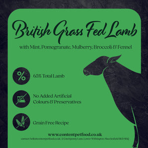 Content 65 British Grass Reared Lamb and Vegetables Dog Food