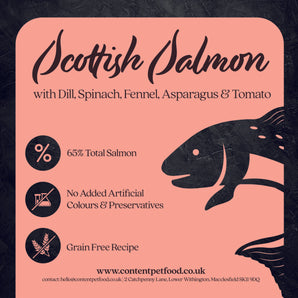 Content 65 Scottish Salmon and Vegetables Dog Food