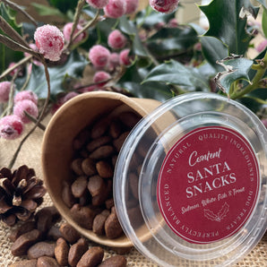 Content Santa Snacks Treat Pot